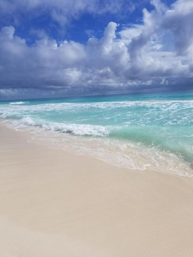 Amazing Caribbean Ocean View At Villas Marlin In 칸쿤 외부 사진